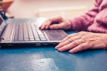 A senior working on a laptop. File photo courtesy of © Can Stock Photo / lofilolo