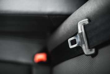 Car seatbelt on the black upholstery of the chair. © Can Stock Photo / Phantom1311