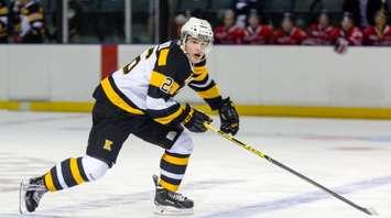 Ted Nichol of Listowel has been named captain of the Kingston Frontenacs for the 2017-18 season. (Photo courtesy of Ted Nichol)