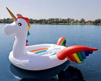 Inflatable unicorn. Photo via @PointSARRescue. Google image labeled for reuse via Sams Club.