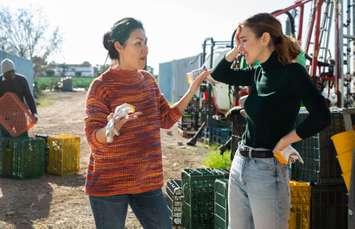 Agricultural workers have tense conversation. © Can Stock Photo / JackF