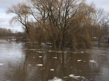 High stream flows flood a low laying flood plain. Blackburn News stock photo.