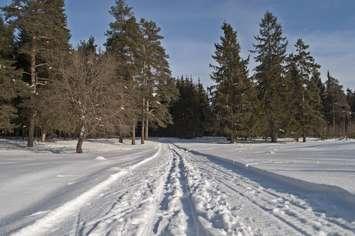 Snowmobile Trail in Winter, CanStock Photo Inc.