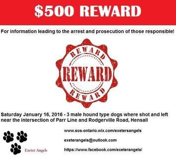 A social media reward poster for information to the dogs found shot nortwest of Exeter.