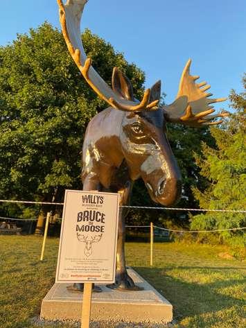 Bruce the Moose made his way to Clinton as local business Willy's Burger Bar injects some tourism ideas into the town. (Submitted photo)