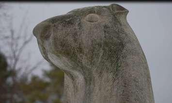 A statue of Wiarton Willie in South Bruce Peninsula. (Screenshot courtesy of South Bruce Peninsula)