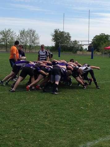 F.E Madill (Purple) and Stratford Northwestern scrum during the Huron-Perth senior boys rugby title game. (by Ryan Brandt)