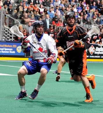 Lions Head native Rob Hellyer in action against Buffalo (Photo Courtesy of Toronto Rock)