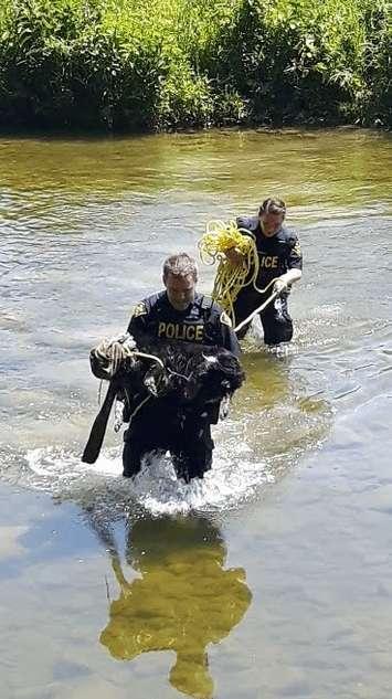  Tex being rescued by Constables Chris Arnold & Megan McDougall