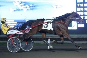 Division point leader Pemberton capped off the Gold Series season with a 1:52.4 victory in the $250,000 three-year-old trotting colt Super Final at Woodbine Mohawk Park on Saturday, Oct. 17 for driver Trevor Henry of Arthur, trainer Paul Walker of Owen Sound and owner/breeders Brenda Walker of Owen Sound and Christine Walker of Tara, ON. (New Image Media photo)