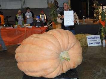 Todd Kline of Shawville, Quebec sets a Canadian record at Port Elgin
Pumpkinfest with a 1,877-pound pumpkin.