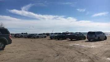 A Lake Huron beach in 2018 showing the traditional method of using the beach as a parking lot ( photo courtesy Lake Huron Centre for Coastal Conservation) 