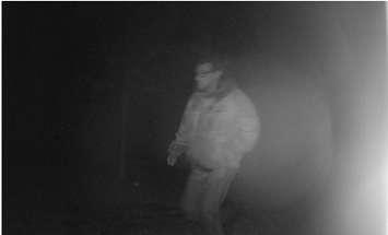 Police say the person in this picture is involved in the theft of a trailer from a property on Southgate Road 22 (Photo provided by Grey Bruce OPP)